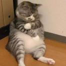 我的钱钱飞走了